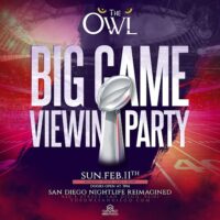 Saturdays at The Owl with DJ Strip